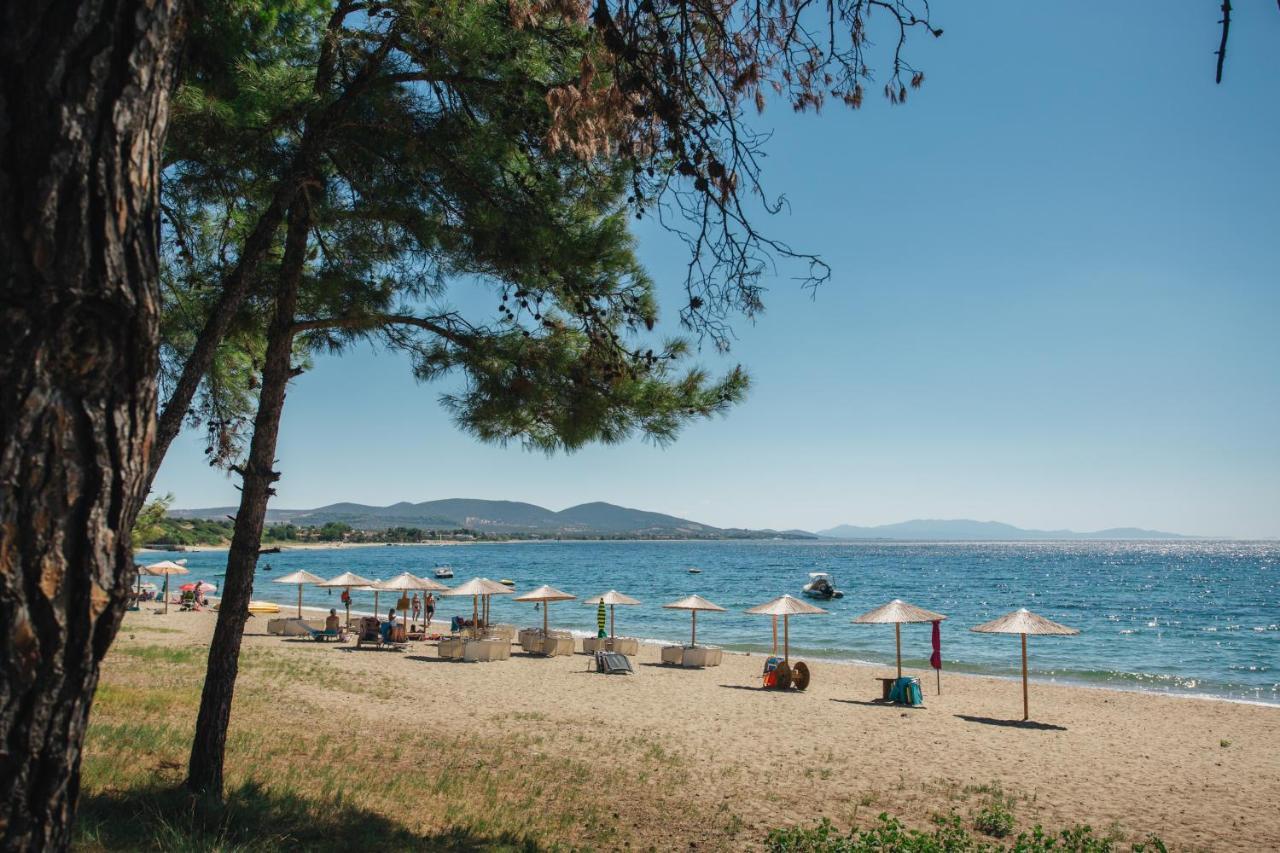 Olea Mare Daire Kalyves Polygyrou Dış mekan fotoğraf