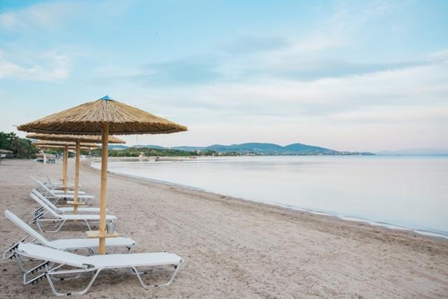 Olea Mare Daire Kalyves Polygyrou Dış mekan fotoğraf