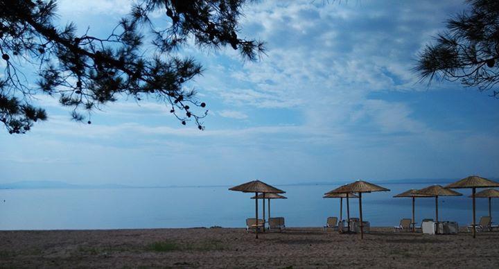 Olea Mare Daire Kalyves Polygyrou Dış mekan fotoğraf