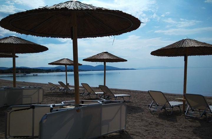Olea Mare Daire Kalyves Polygyrou Dış mekan fotoğraf